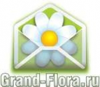 Логотип компании Доставка цветов Гранд Флора (ф-л г. Чехов)